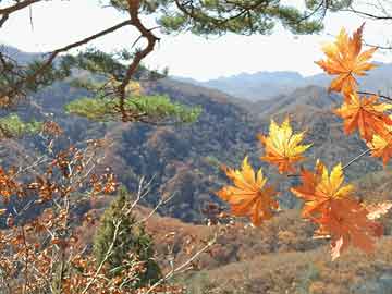 伊朗发布霍拉姆沙赫尔-4导弹画面,伊朗控制霍尔木兹海峡